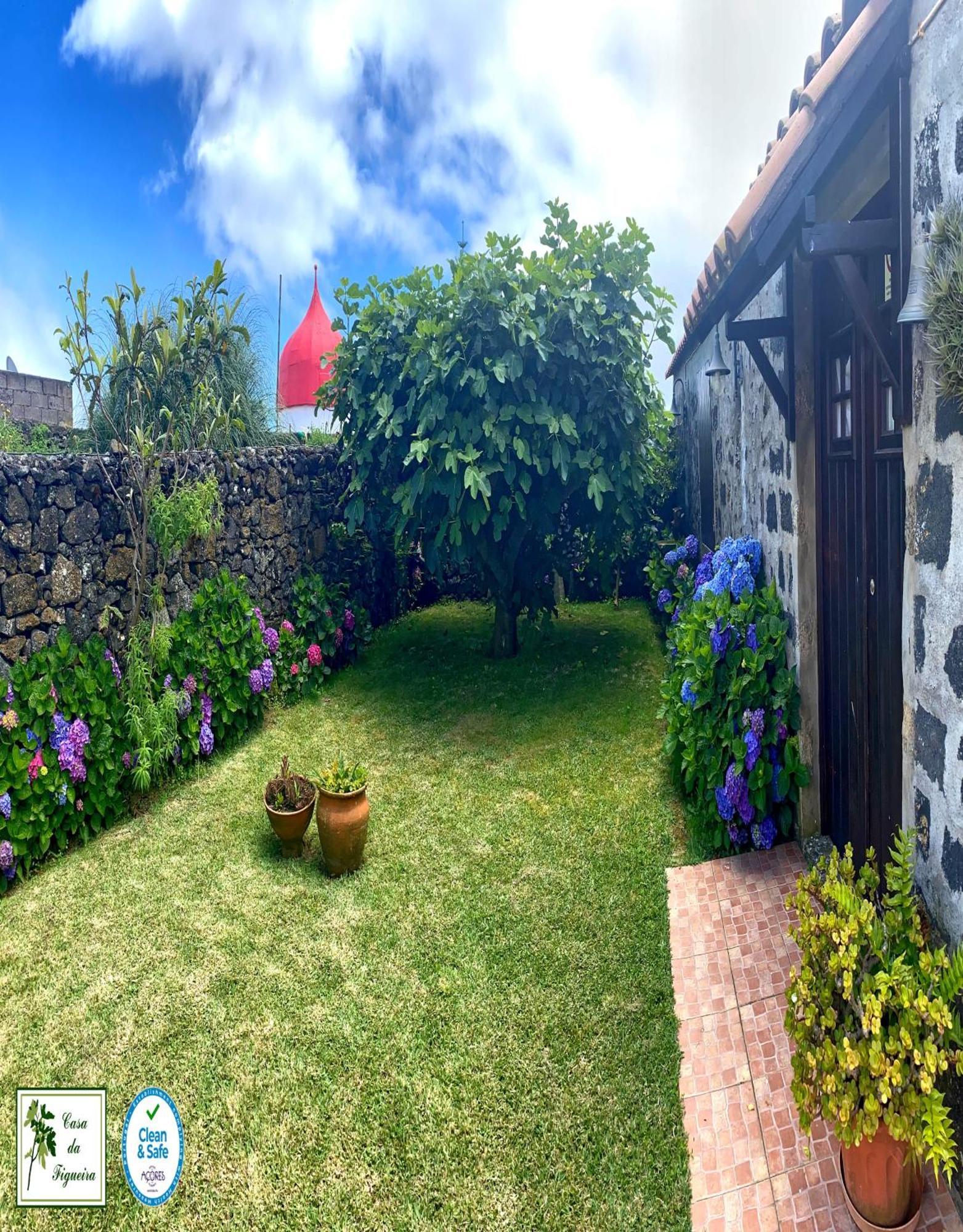 Alojamento Casa Da Figueira Villa Ponta Delgada  Exterior photo